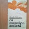n4 Radu Carneci - Ca muntele-n amiaza