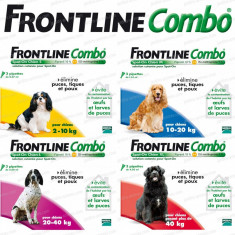 FRONTLINE COMBO XL,PESTE 40KG,3 PIPETE!!! foto