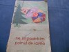 ELENA SIMOTA GEORGESCU - NE IMPODOBIM PODUL DE IARNA