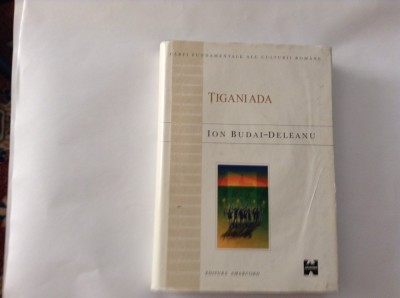 TIGANIADA -I B DELEANU,RF2/4 foto