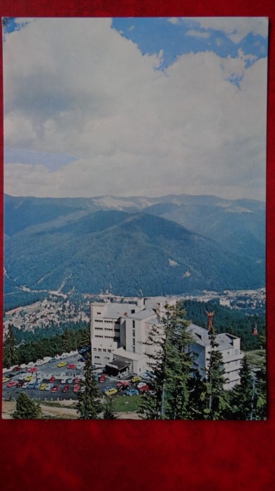 Vedere - Carte postala - Sinaia - Cota 1400