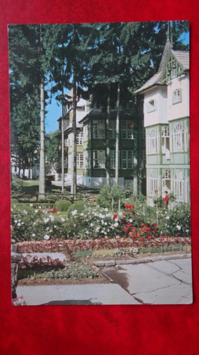 Vedere - Carte postala - Vile la Sovata