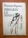 E0 Peregrin la Ninive - Florentin Popescu