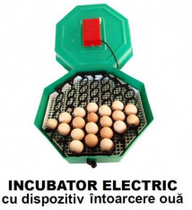 Incubator Electric Clocitoare 60 Oua Cleo 5 cu Cheita Intoarcere foto