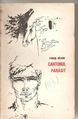 (C5995) CANTONUL PARASIT DE FANUS NEAGU foto