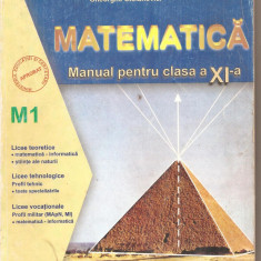 (C6037) MATEMATICA. MANUAL PENTRU CLASA A XI-A DE GABRIELA CONSTANTINESCU