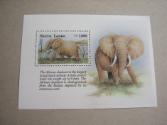 Sierra Leone 1993 fauna elefanti MI bl.228 MNH w06 foto