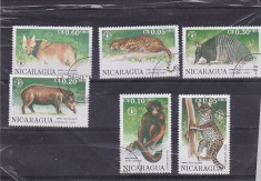 timbre st. animale salbatice NICARAGUIA foto