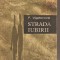 (C6001) STRADA IUBIRII DE F. VIGDOROVA