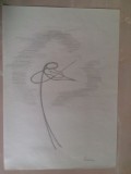 Tablou Ion Lucian Murnu, Pictor Roman, A4, Semnat, Colectie Arta