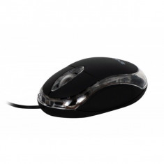 Mouse optic SPACER SPMO-080, 800dpi, LED albastru, USB (SPMO-080) foto