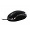 Mouse optic SPACER SPMO-080, 800dpi, LED albastru, USB (SPMO-080)