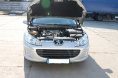 Vand Peugeot 407 SW Paladyn 1.6 HDI foto