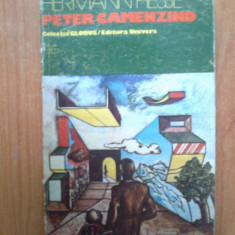 g1 Hermann Hesse-Peter Camenzind