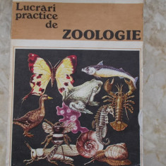 LUCRARI PRACTICE DE ZOOLOGIE- MARIA SUCIU, ALEXANDRINA POPESCU