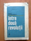 n5 Titu Georgescu - Intre doua revolutii
