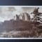 Carte postala - Vedere - Sepia - Miercurea Ciuc - Hasmasul Mare
