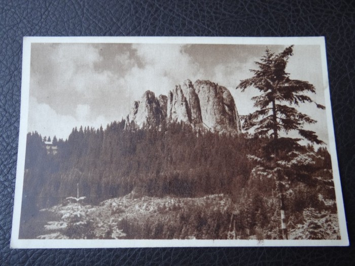 Carte postala - Vedere - Sepia - Miercurea Ciuc - Hasmasul Mare