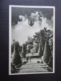 Carte postala - Vedere - Sepia - Bucuresti - Vedere din cismigiu - Stamp Rosie