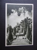 Carte postala - Vedere - Sepia - Bucuresti - Vedere din cismigiu - Stamp Rosie, Circulata, Fotografie