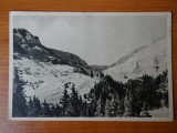 Carte postala - Vedere - Sepia - anii 50 - Muntii Bucegi - Spre omul, Circulata, Fotografie