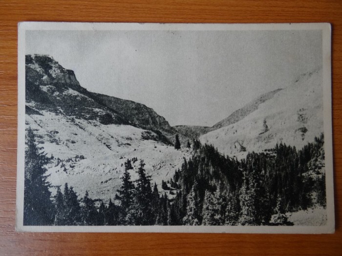 Carte postala - Vedere - Sepia - anii 50 - Muntii Bucegi - Spre omul