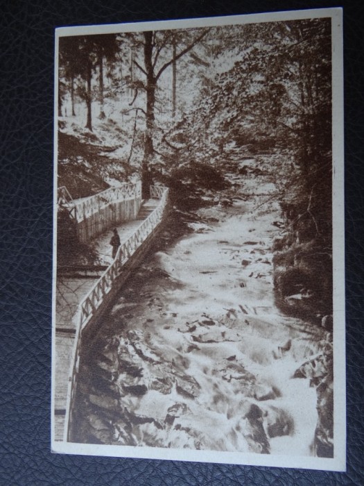 Carte postala - Vedere - Sepia - Slanic - Moldova - Cascada