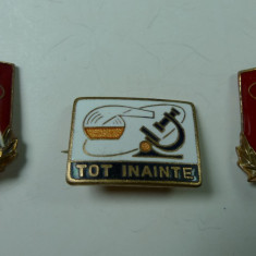 INSIGNE PIONIER - CERCETATOR I - TOT INAINTE - LOT DE 3 BUC