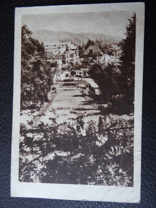 Carte postala - Vedere - Sepia - Govora