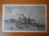 Carte postala - Vedere - Sepia - Eforie