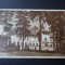Carte postala - Vedere - Sepia - Borsec