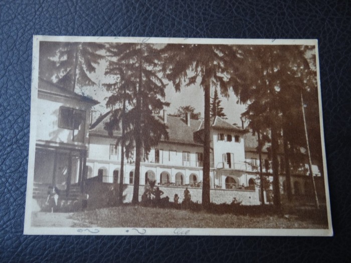 Carte postala - Vedere - Sepia - Borsec