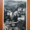 Carte postala - Vedere - Sepia - anii 50 - Olanesti
