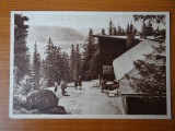 Carte postala - Vedere - Sepia - anii 50 - Postavarul - Vedere Piatra Craiului, Circulata, Fotografie