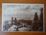 Carte postala - Vedere - Sepia - anii 50 - Postavarul - vedere spre poiana, Circulata, Fotografie