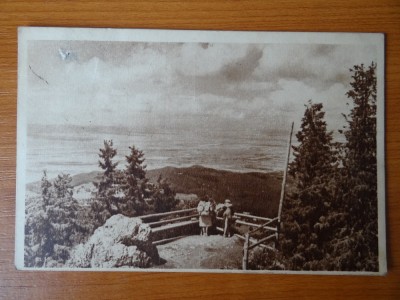 Carte postala - Vedere - Sepia - anii 50 - Postavarul - vedere spre poiana foto