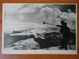 Carte postala - Vedere - Sepia - anii 50 - Piatra Mare, Circulata, Fotografie