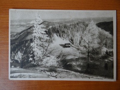 Carte postala - Vedere - Sepia - anii 50 - Diham - Cabana foto