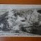 Carte postala - Vedere - Sepia - anii 50 - Diham - Cabana