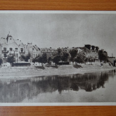 Carte postala - Vedere - Sepia - anii 50 - Lugoj pe malul Timisului