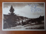 Carte postala - Vedere - Sepia - anii 50 - Predeal, Circulata, Fotografie