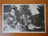 Carte postala - Vedere - Sepia - anii 50 - Sinaia, Circulata, Fotografie
