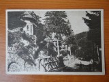 Carte postala - Vedere - Sepia - anii 50 - Sinaia, Circulata, Fotografie