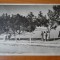 Carte postala - Vedere - Sepia - anii 50 - Techirghiol
