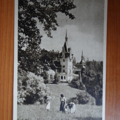 Carte postala - Vedere - Sepia - anii 50 - Sinaia