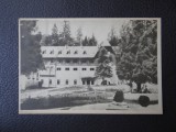 Carte postala - Vedere - Sepia - Borsec, Circulata, Fotografie