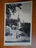 Carte postala - Vedere - Sepia - anii 50 - Sinaia, Circulata, Fotografie