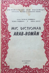 MIC DICTIONAR ARAB - ROMAN - Nicolae Dobrisan foto