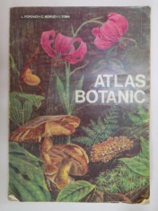 ATLAS BOTANIC de LUCIA POPOVICI , CONSTANTA MORUZI , ION TOMA , 1994 foto