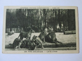 Cumpara ieftin C.P. EXPOZITIA COLONIALA INTERNATIONALA PARIS 1931, Circulata, Franta, Printata